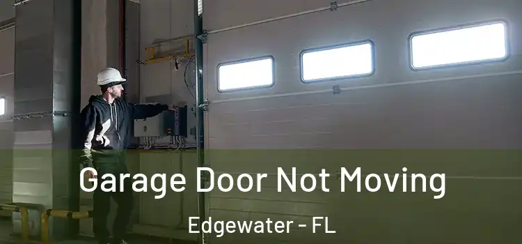  Garage Door Not Moving Edgewater - FL