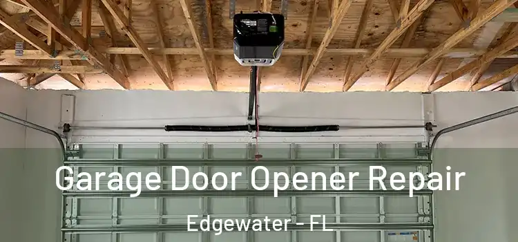  Garage Door Opener Repair Edgewater - FL