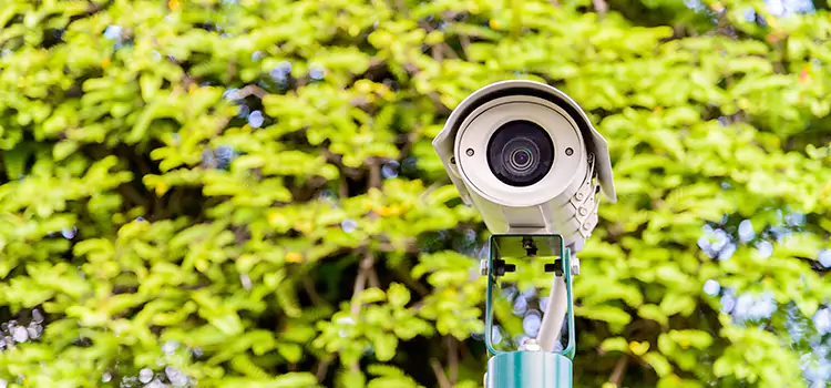 Advanced Surveillance Solutions for Every Need in Edgewater