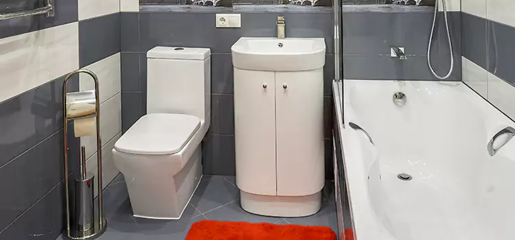 Hansgrohe Shaving Mirror Edgewater